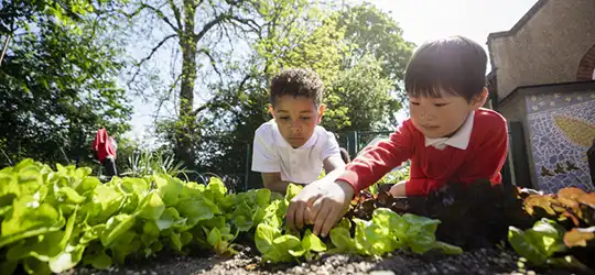 Raising your young child to be a good, inclusive friend